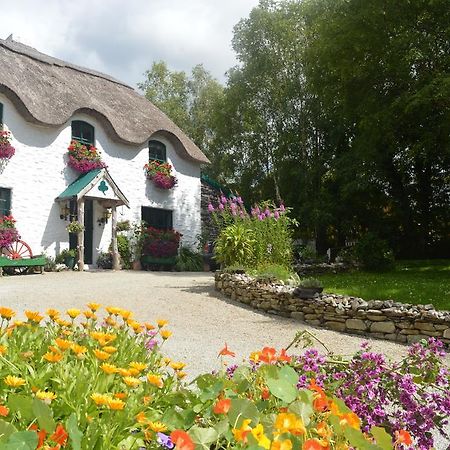 Lissyclearig Thatched Cottage Kenmare Exterior foto