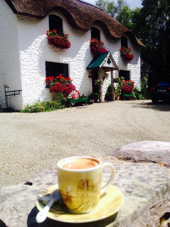 Lissyclearig Thatched Cottage Kenmare Exterior foto